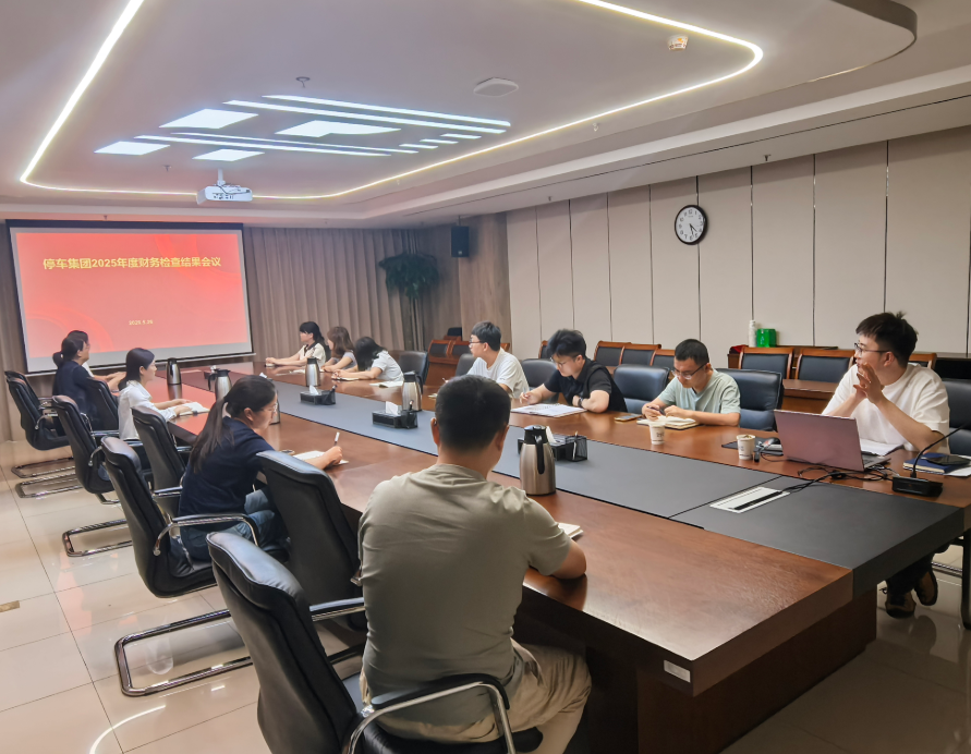 停车集团召开2025年度财务检查结果会议