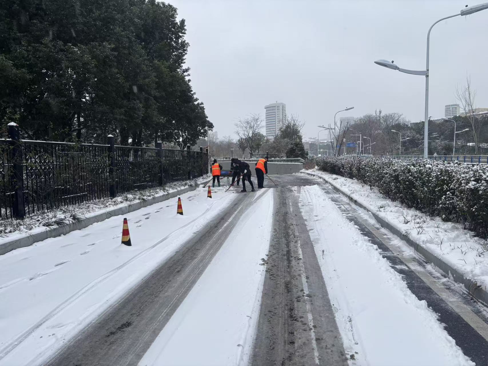 1768976062550.jpg 1768976062550.jpg